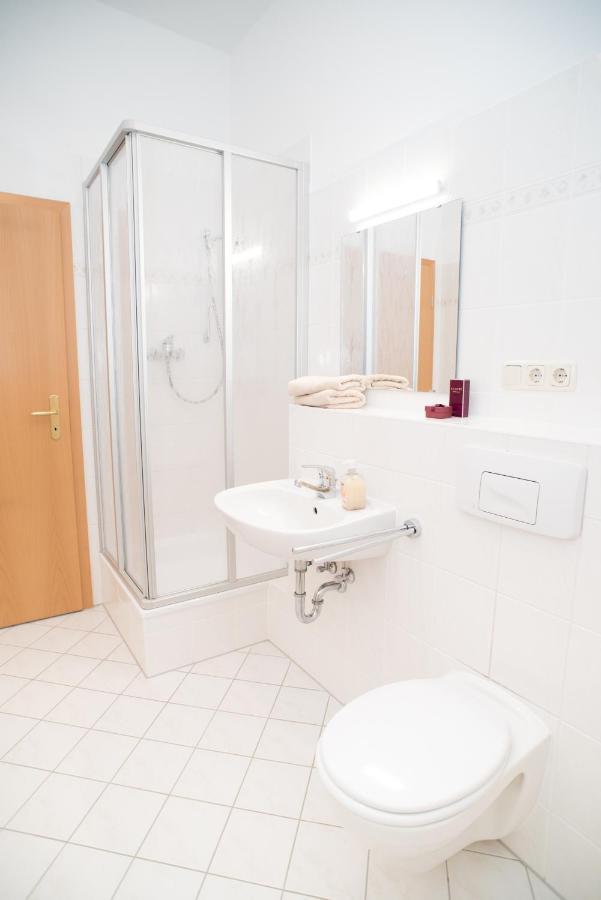 Stilvolle 1-Raum-Wohnung Zentral, Ruhig Gelegen Dresden Exteriör bild